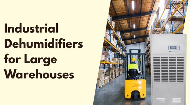 Industrial Dehumidifiers for Large Warehouses | High-Capacity Humidity Control Solutions