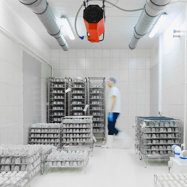Food Processing & Cold Storage